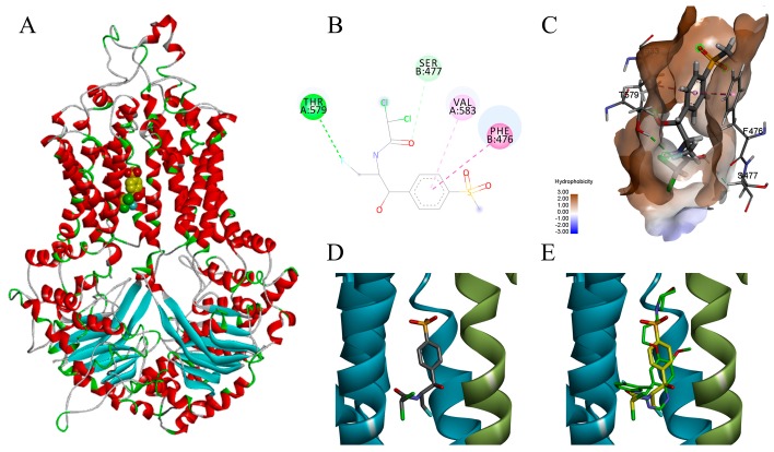 Figure 2