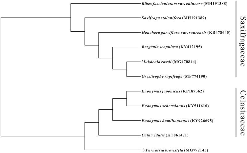 Figure 1.