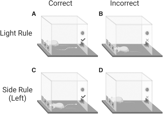 FIG. 1.