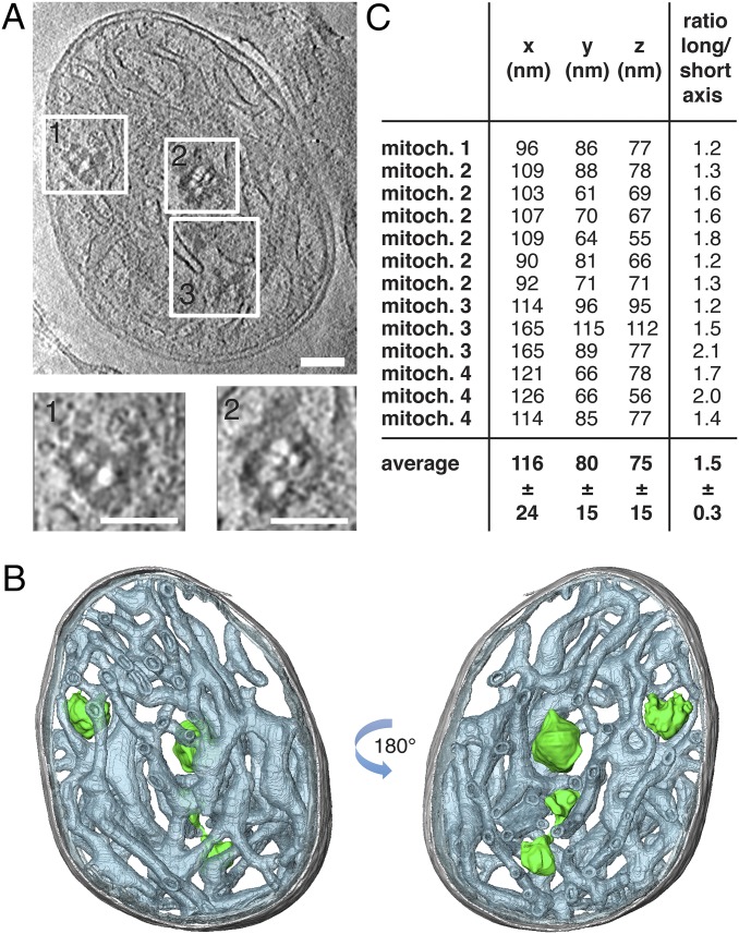 Fig. 4.