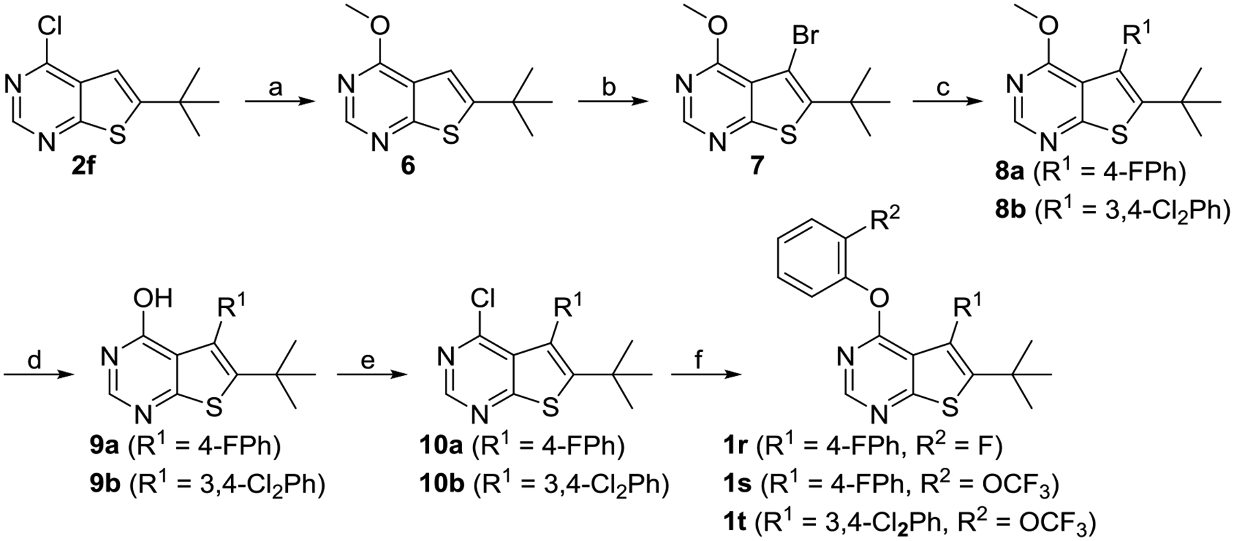 Scheme 3.