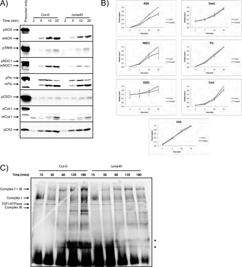 FIGURE 4.