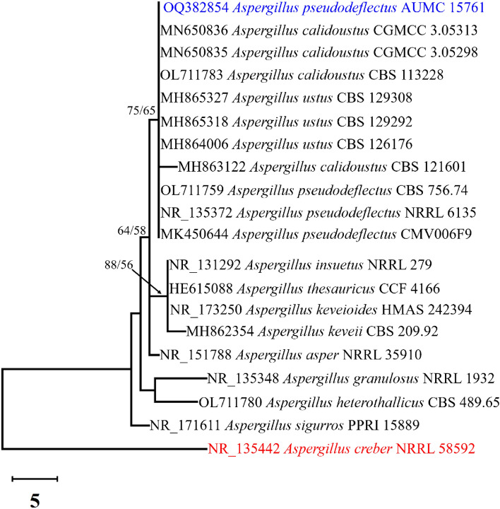 Figure 2
