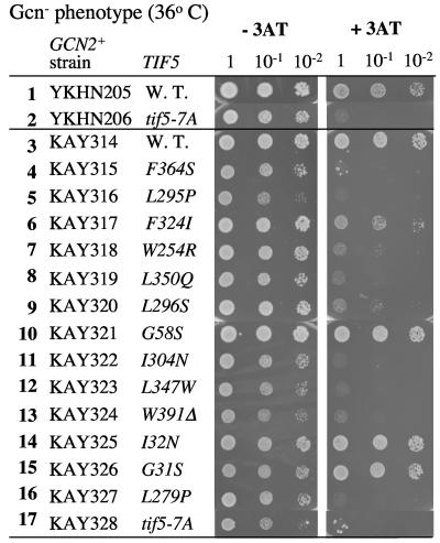 FIG. 5.