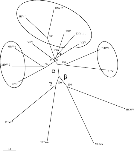 FIG. 5.