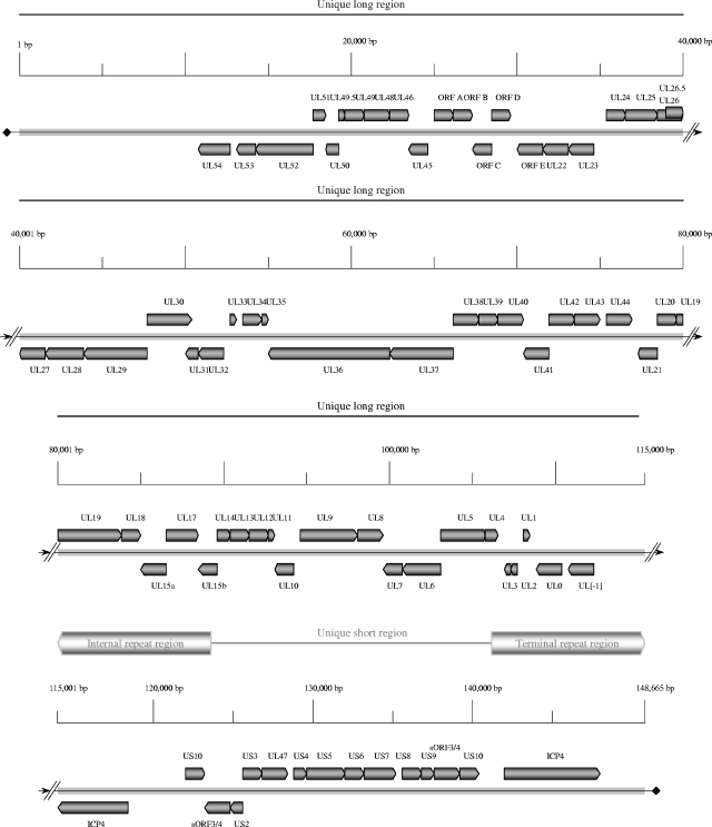 FIG. 2.