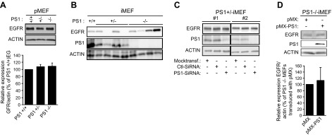 Figure 9.