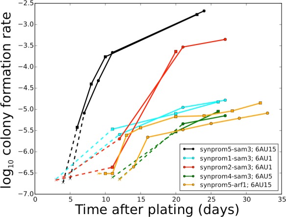 Figure 3—figure supplement 1.