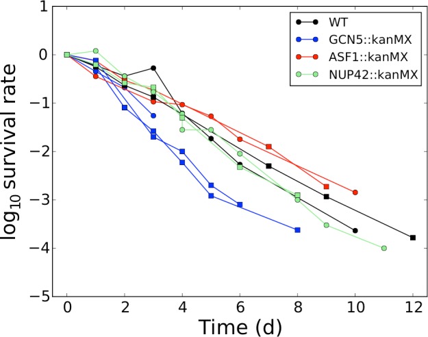 Figure 8—figure supplement 2.