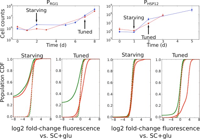 Figure 4—figure supplement 1.