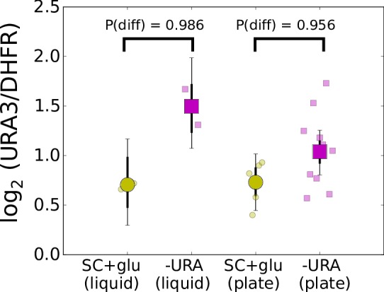 Figure 4—figure supplement 2.