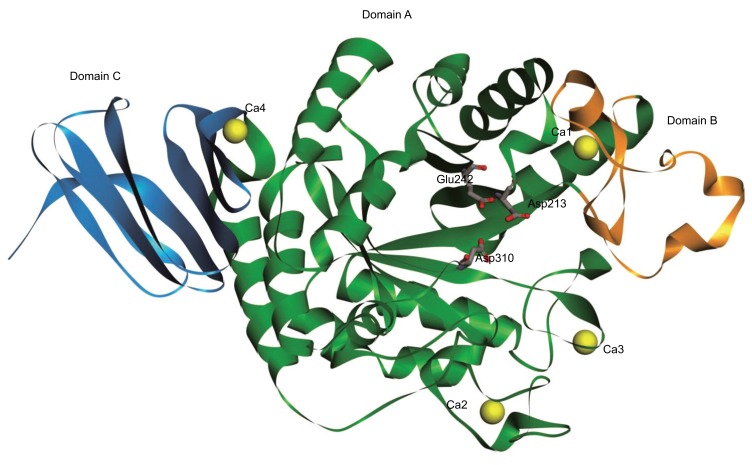 Figure 2