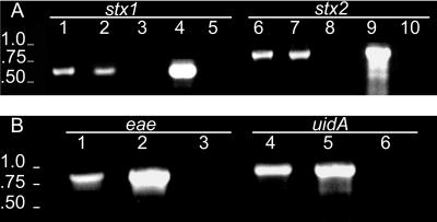 FIG. 5