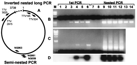 FIG. 1