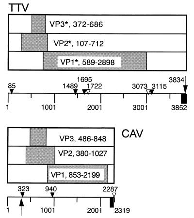 FIG. 5