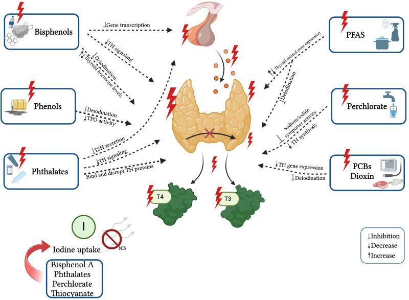 Figure 2