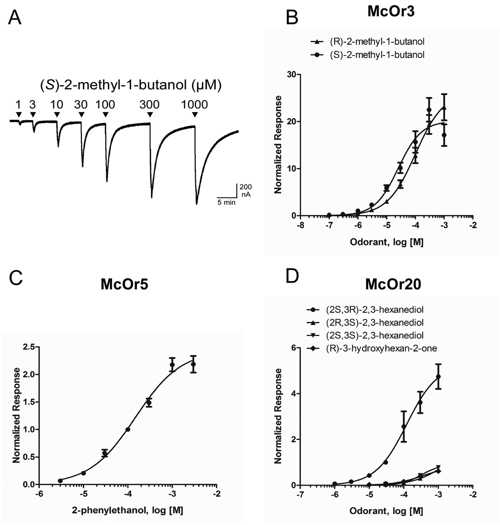 Fig. 3