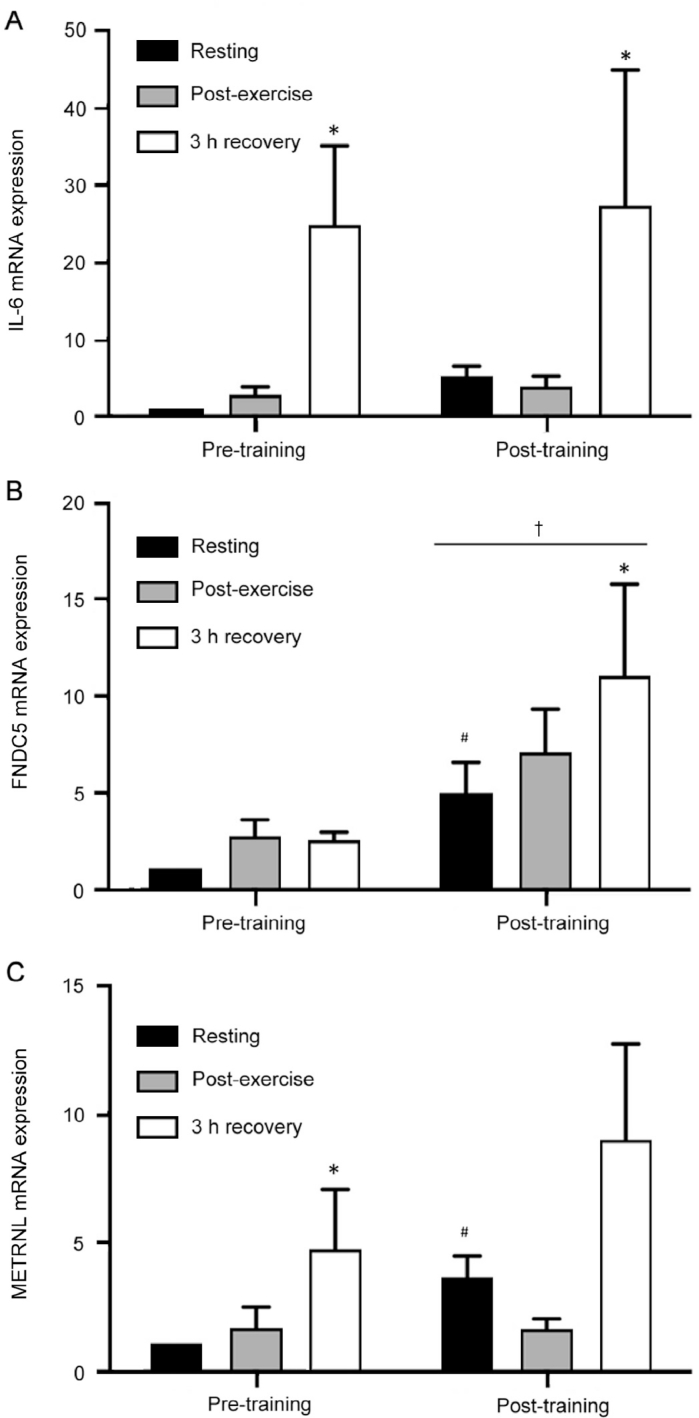 Fig. 2