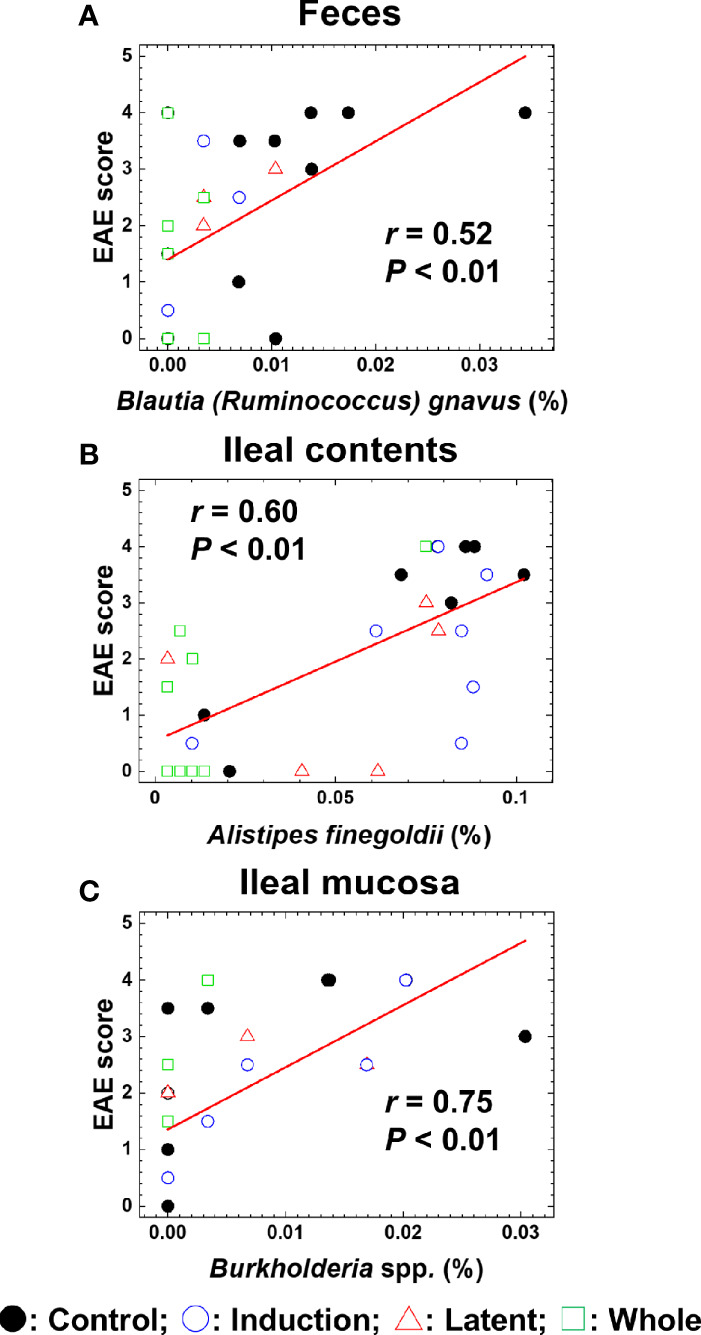 Figure 6