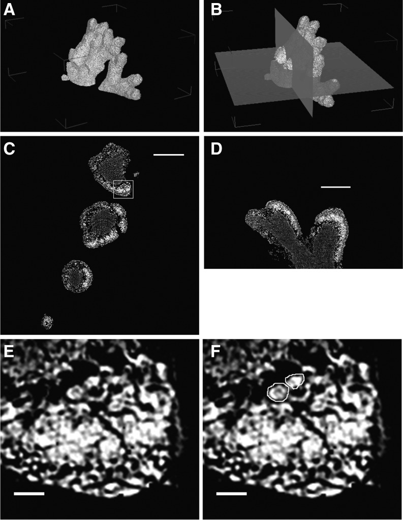 Figure 10.