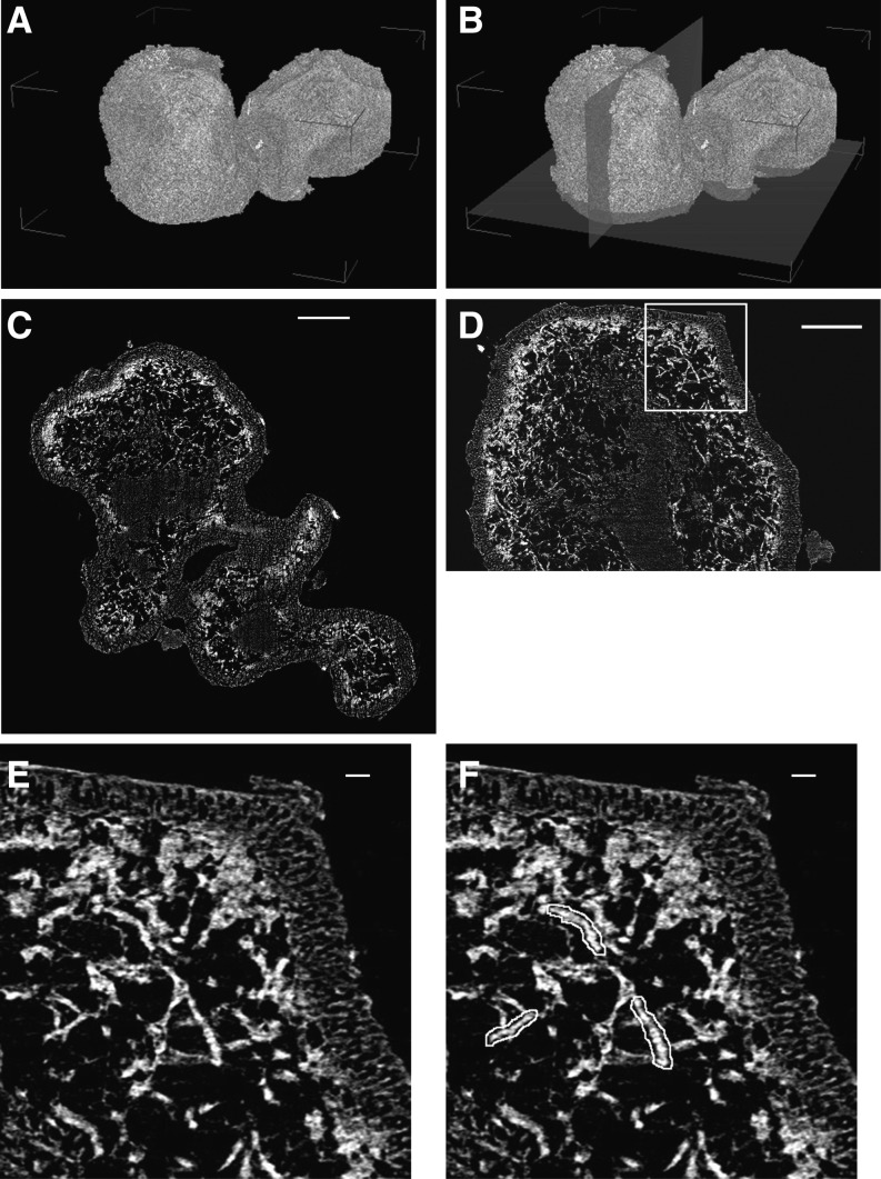 Figure 11.