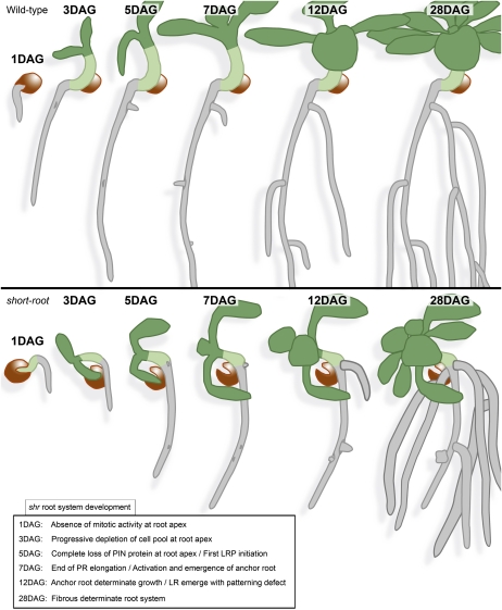 Figure 10.