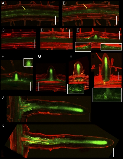 Figure 6.