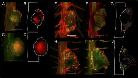 Figure 9.