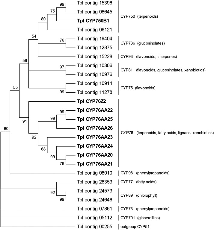 Figure 3.