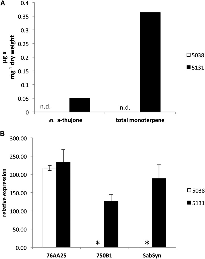 Figure 7.