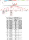 Figure 5. MSH6 genetic alterations in ARETHUSA patients and their genetic context. A, Mutation-type probability according to signature 11 and MSH6 mutations emerged after TMZ treatment. The contexts of each mutation in the MSH6 gene in both tissue biopsy and blood post-TMZ priming were shown; mutations that are likely to inactivate MMR are reported in bold. B, MSH6 genetic alterations identified in tissue and blood after TMZ priming. Mutations potentially affecting the MMR status (MMRp to MMRd) are listed in bold. dMMR, deficient mismatch repair.