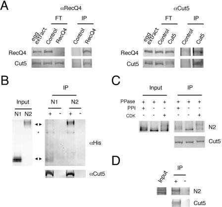 FIG. 8.