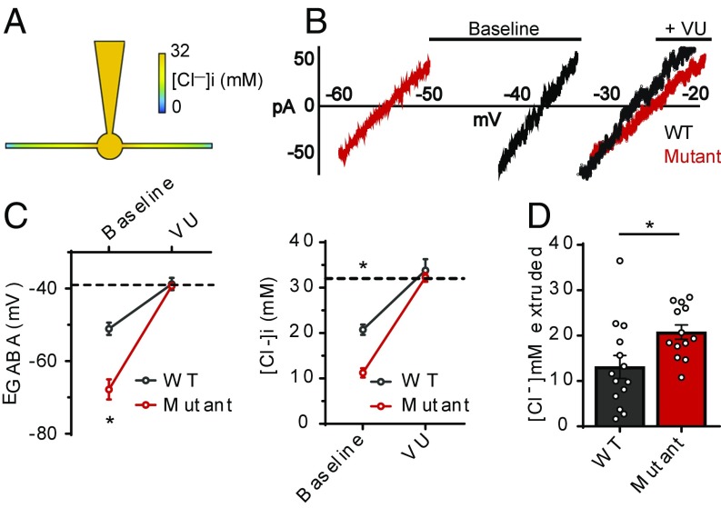 Fig. 6.