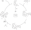 Fig. 4