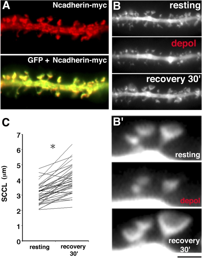 Figure 6.