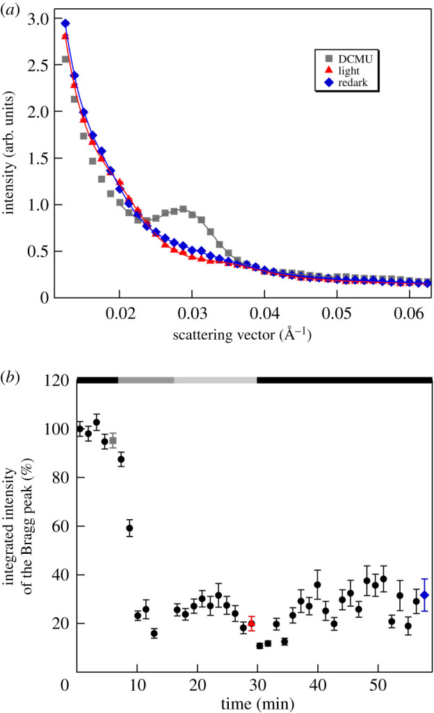 Figure 5.