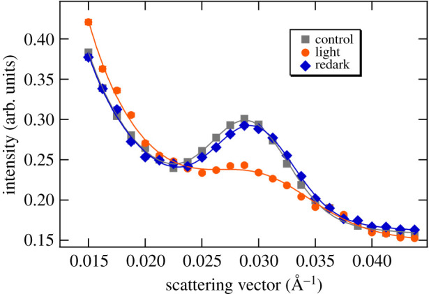 Figure 1.