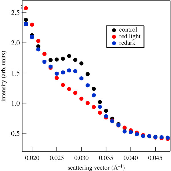 Figure 7.