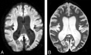 Fig 1.