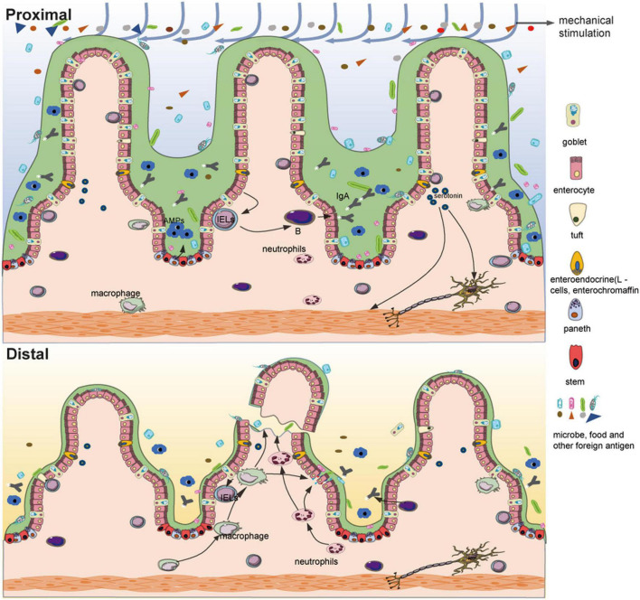 FIGURE 2