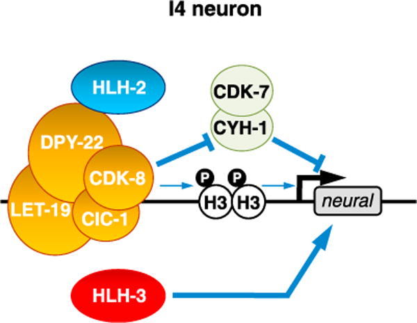 Figure 7