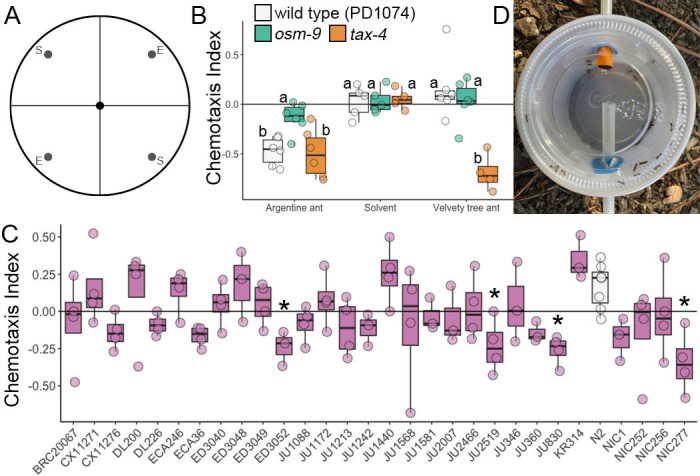 
Figure 1.

Argentine Ant (
Linepithema humile
) extracts induce an
osm-9
dependent chemotaxis response in
C. elegans
.

