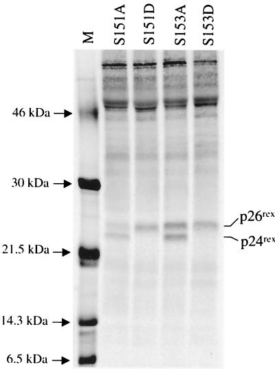 FIG. 8