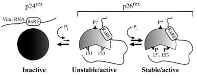 FIG. 11