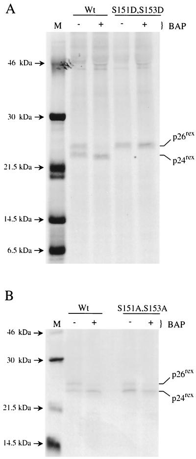 FIG. 7