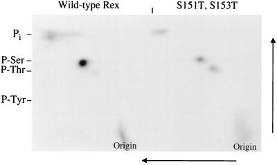 FIG. 10