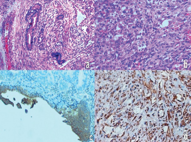 Figure 1: