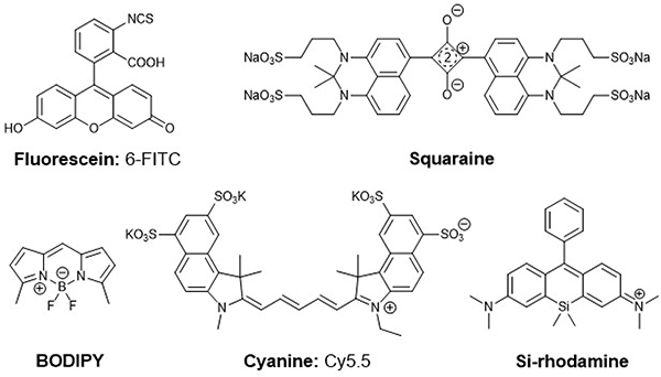 Figure 1: