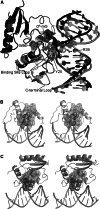 Fig. 5