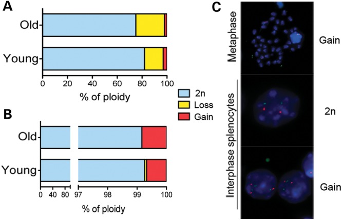 Figure 4.